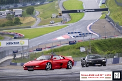 cmichael_jurtin-223
